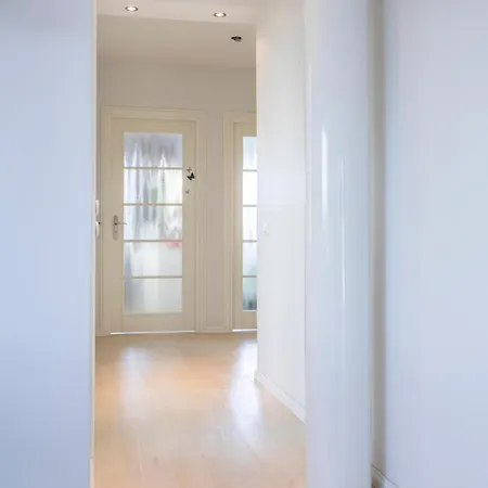 Arcticfox * Rovaniemi